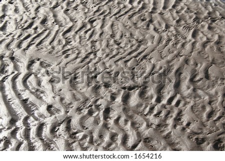 湿沙子纹理 商业图片: 1654216 : Shutterstock