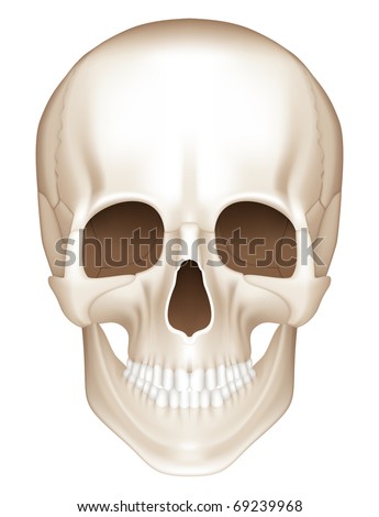Bitmap Skull
