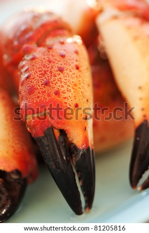 Stone crab claws