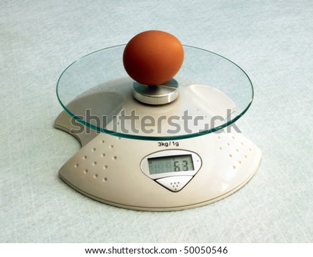 Definition of weight of egg on kitchen electronic scales