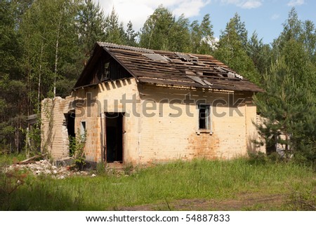 Old destroyed house is thrown in pine wood