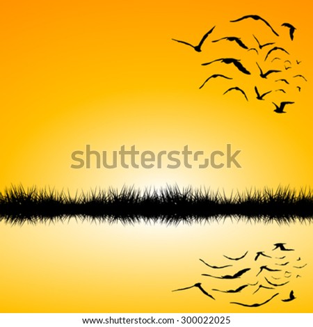 Landscape with a lake and birds flying at sunset