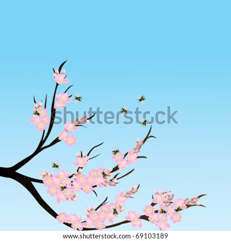 cherry blossom branch vector. stock vector : Cherry blossom