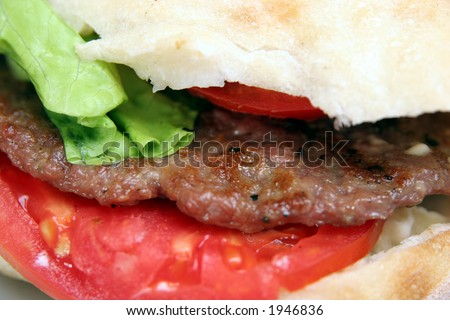 grilled meat patty, hamburger