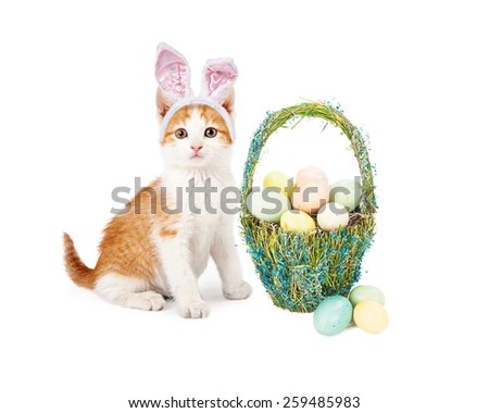 An adorable little kitten wearing Easter Bunny ears sitting next to a pretty straw basket filled with colorful eggs