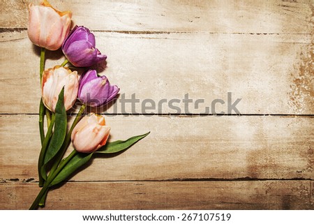 Pink and Purple Tulips resting on an old wood table with room for text. Aged textured photo filter effect applied.