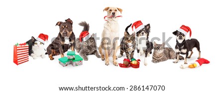 Christmas theme image of a large group of cats and dogs together
