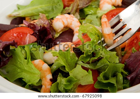 A healthy green garden salad with cooked shrimp