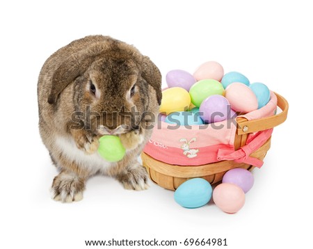 easter bunnies and eggs to colour in. stock photo : Easter Bunny