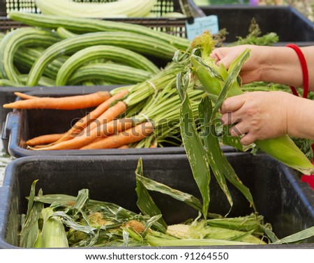 A pair of hands grabbing an ear of corn at a farmer\'s market