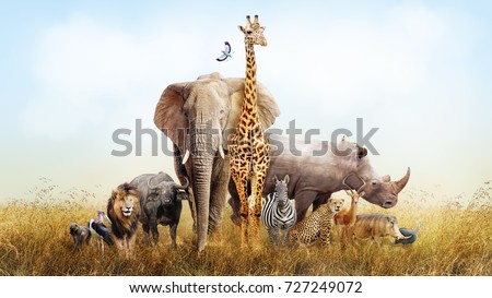 Large group of African safari animals composited together in a scene of the grasslands of Kenya.