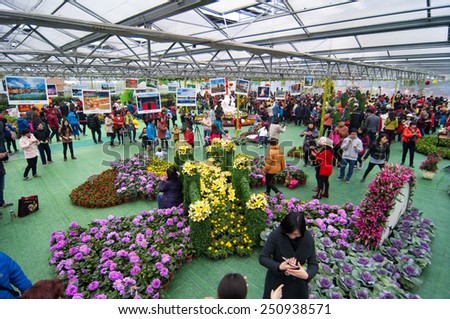FOSHAN-Jan 31:Spring comes, flowers in full bloom, in order to meet the upcoming Chinese New Year, foshan flower show, attracted many people to visit Jan 31, 2015 in Foshan, China
