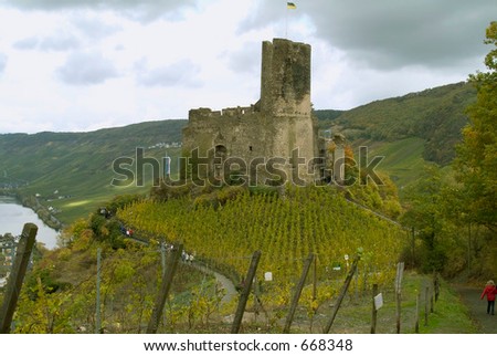 Ruins between vineyards in Germany