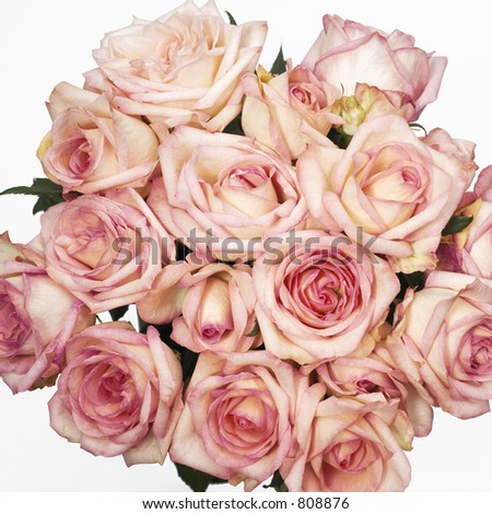 stock photo wedding bouquet of Italian roses