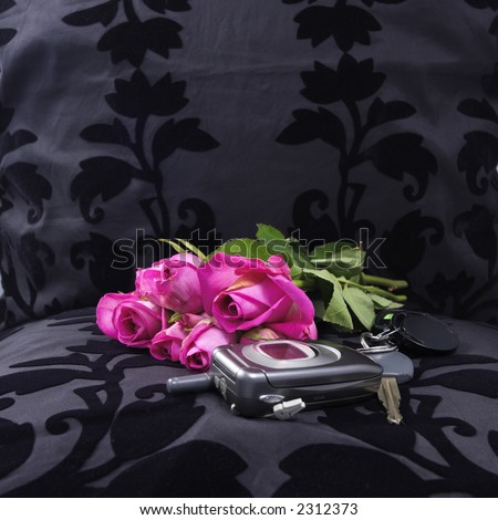 pink roses, mobile phone, car keys left at the seat  (after a romantic dinner)