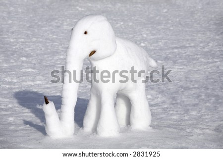 Elephant Snow