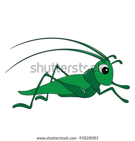 funny grasshopper