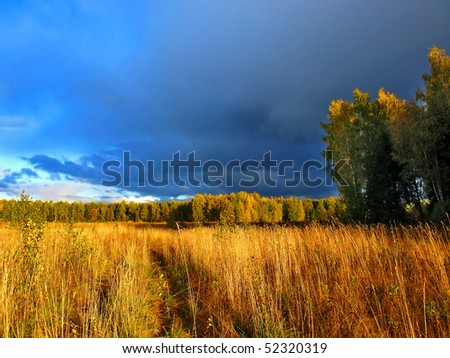 Thunder-storm in a floor. A weak rainbow on a background of dark blue clouds, a high field grass and a marge of a wood.