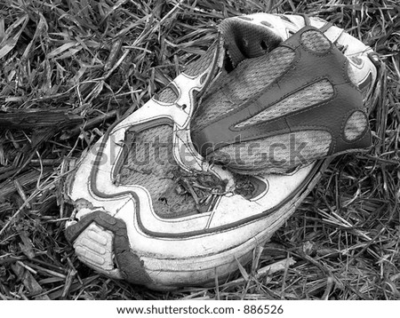 sport footwear, black and white trainers abandoned in the grass