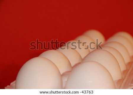 Dozen of eggs on red background