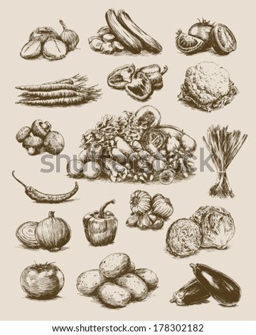Hand Drawn Vegetables Set Hand Drawn Vegetables Set