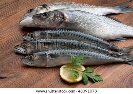 Fish Variety