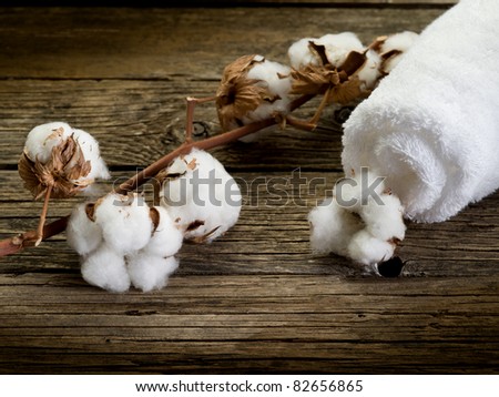 cotton towel with cotton branch- spa concept