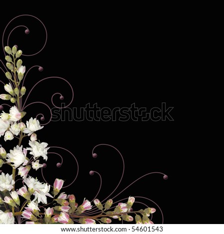 flowers on a branch and swirls to make a corner border isolated on black background