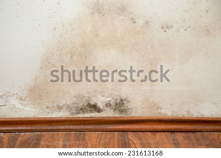 Black mold buildup in the corner of an old house