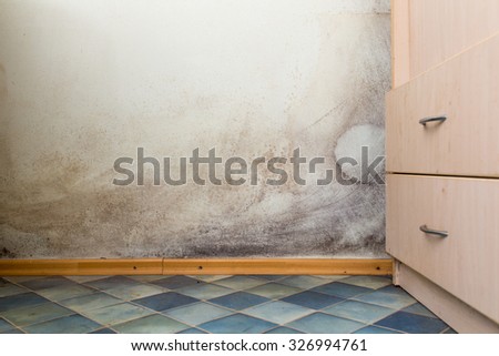 Black mold buildup in the corner of an old house