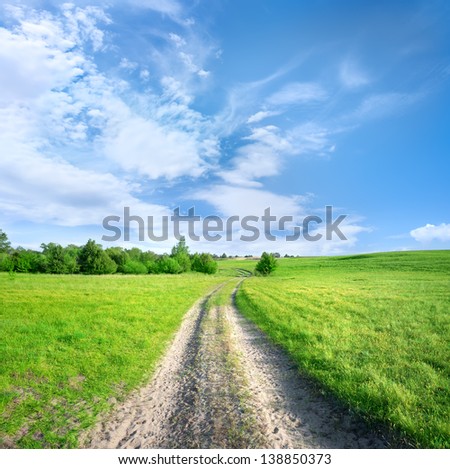 Country road in a green field in the afternoon