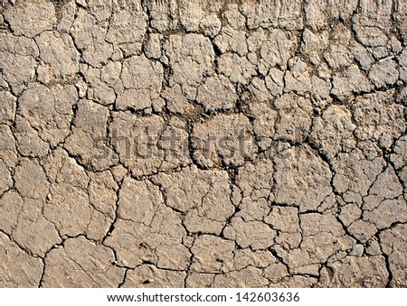 Dry cracked earth in desert. Background. Close-up