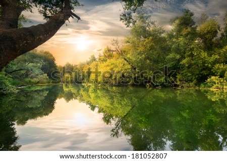 Sun behind the trees by the river