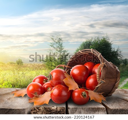 Tomatoes in a basket on the table and landscape