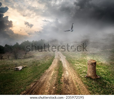 Bird over country road and storm clouds