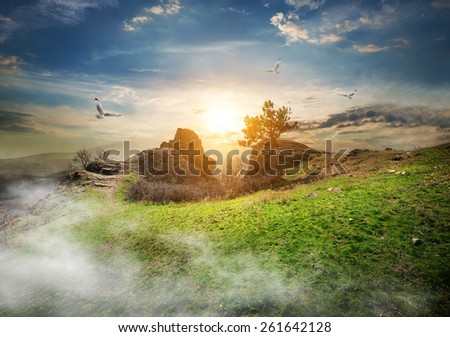 Birds over meadow on a mountain at sunrise