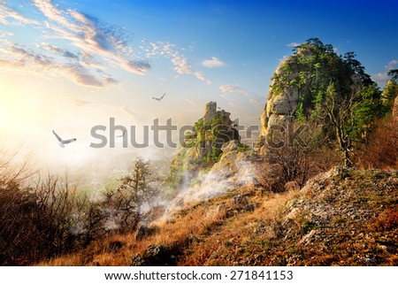 Birds over big cliffs in the autumn morning