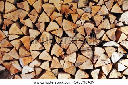 Wall of wood stump