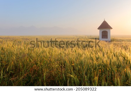 Mist on wheat field with chapel in Slovakia Tatras