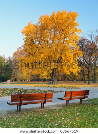 City park in autumn - Sad Janka Krala