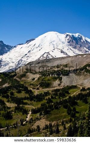 Mount Rainier on a clear beautiful sunny day behind a meadow of wildflowers.