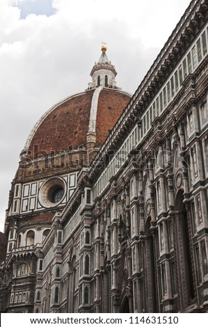 view of the dome and the church of St. Maria Novella in Florence