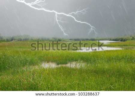 lightning and rain over the swamp