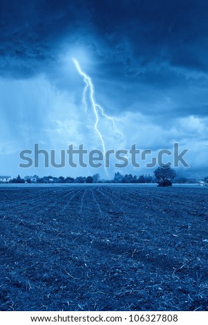 storm on the newly sprouted wheat field