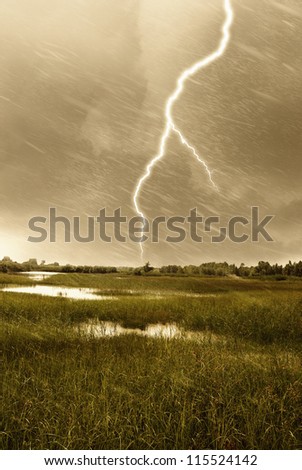 lightning and rain over the swamp
