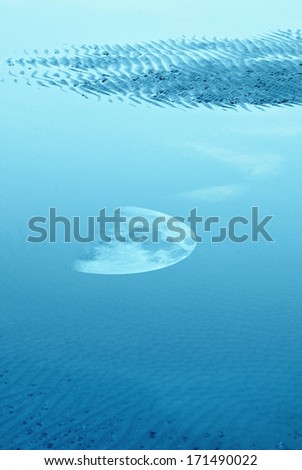 reflex of moon in the water