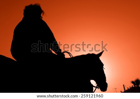 man with horse at sunset