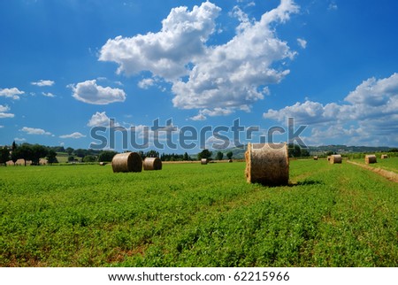 bales of oat in flat land in summer