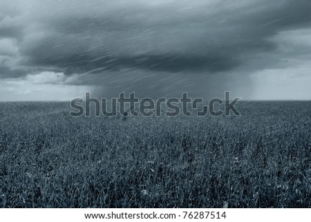 tornado over grain field in spring