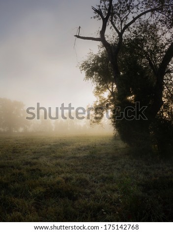 Moody rural sunrise with ground fog and water on grass